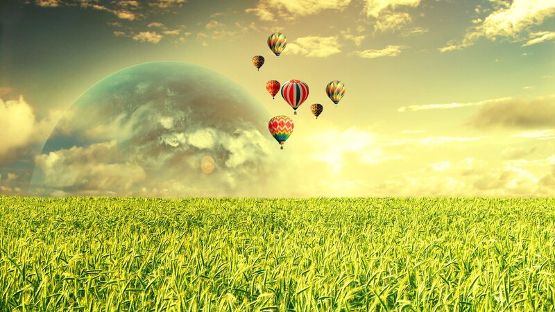 Hot air balloons over green field