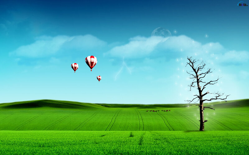 Hot air balloons over green fields