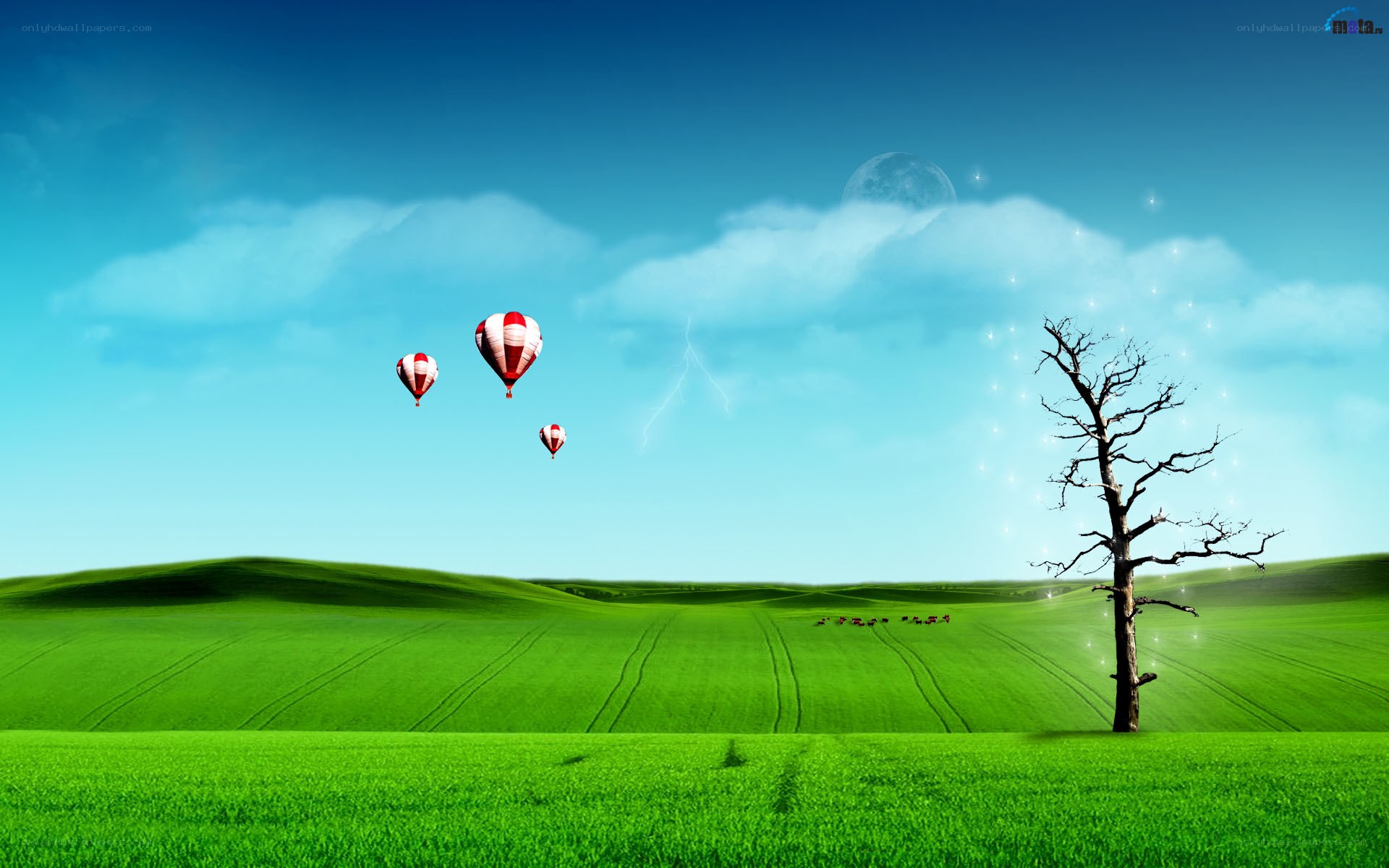 Hot air balloons over green fields
