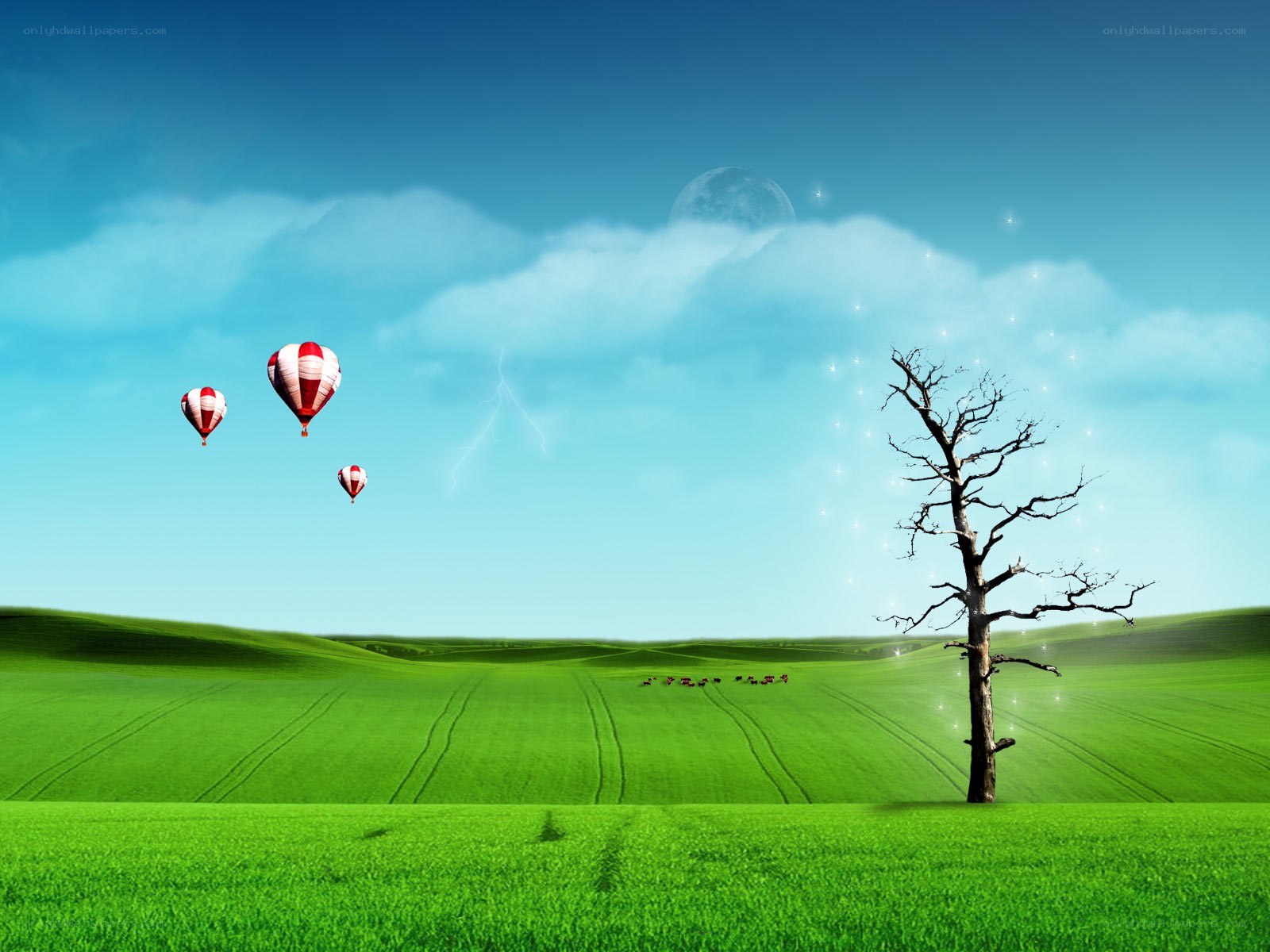 Hot air balloons over green fields
