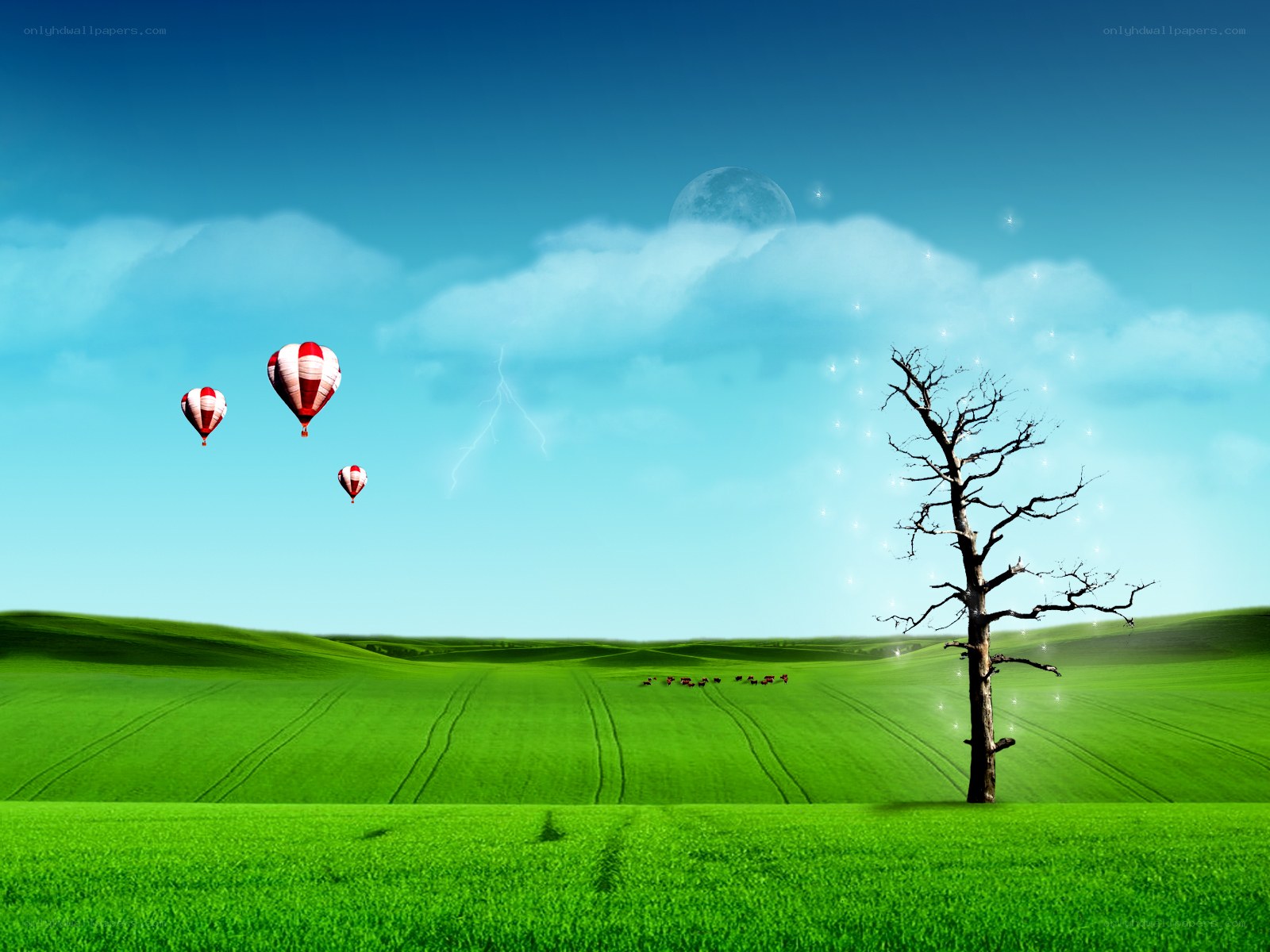 Hot air balloons over green fields