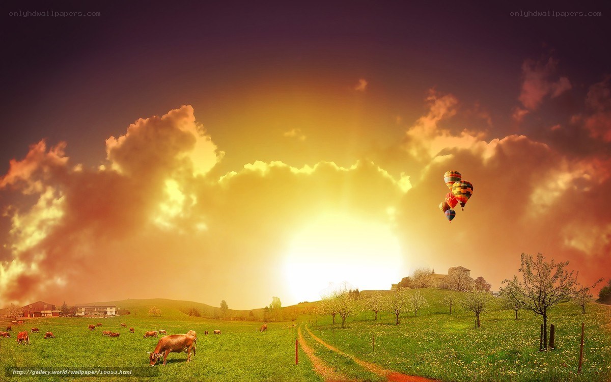 Hot air balloons over green fields