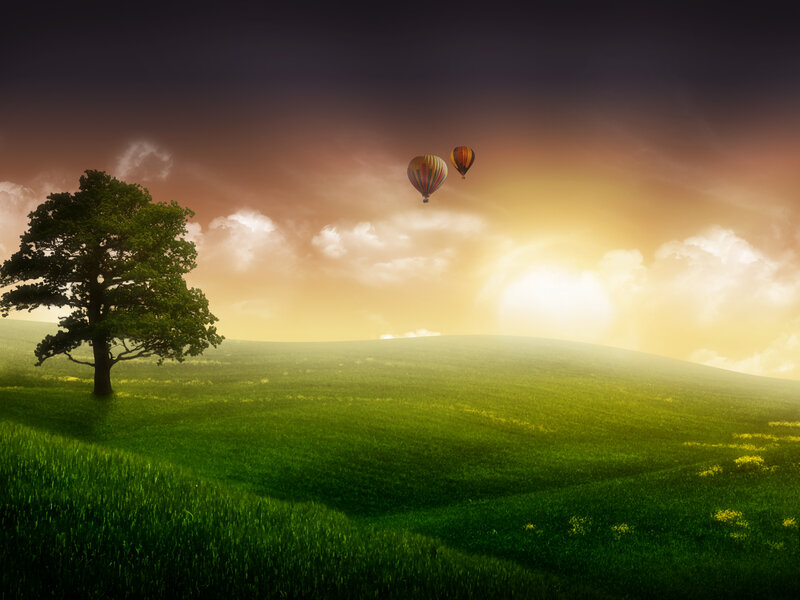 Hot air balloons over green hills