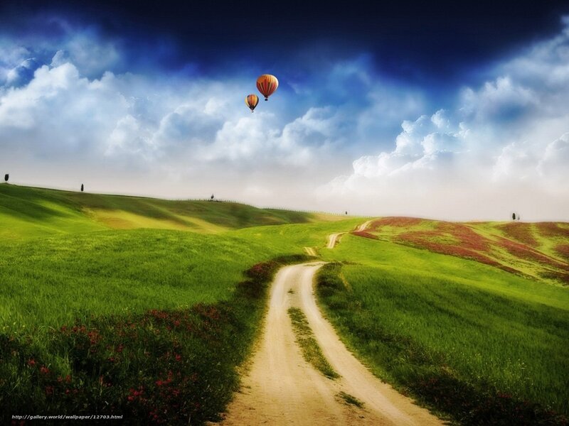 Hot air balloons over green hills
