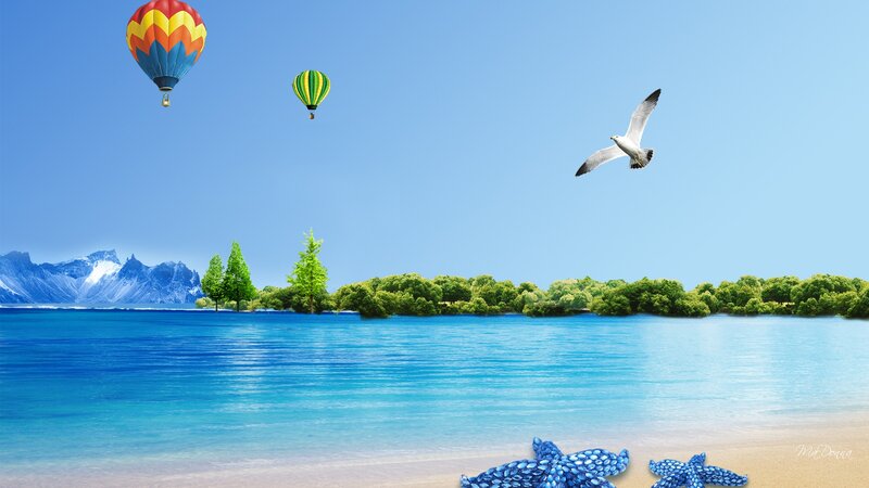Hot Air Balloons over Island