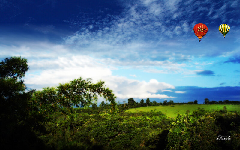 Hot Air Balloons over Landscape