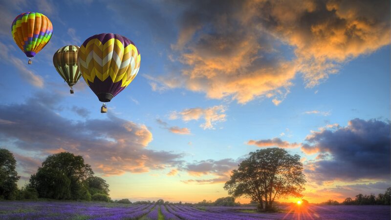 Hot Air Balloons over Lavender — Purple, Serene, Sunset