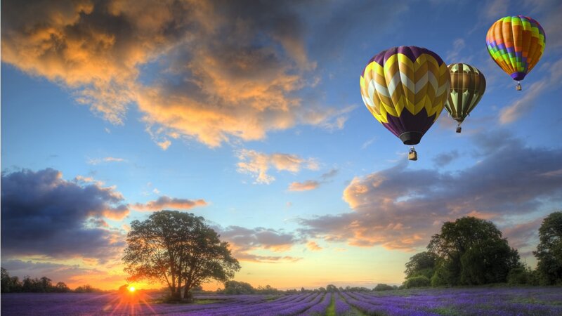 Hot Air Balloons over Lavender — Purple, Serene