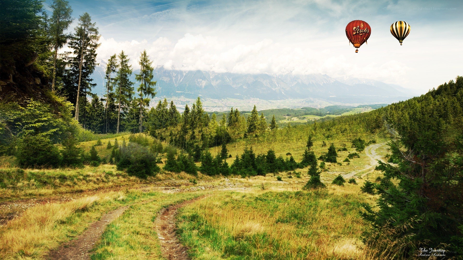 Hot air balloons over mountain valley