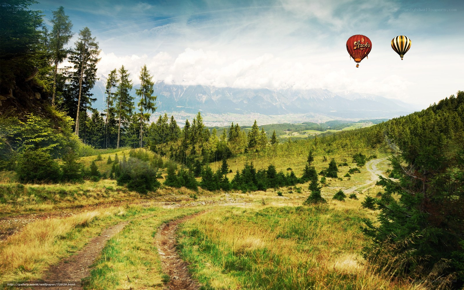 Hot air balloons over mountain valley