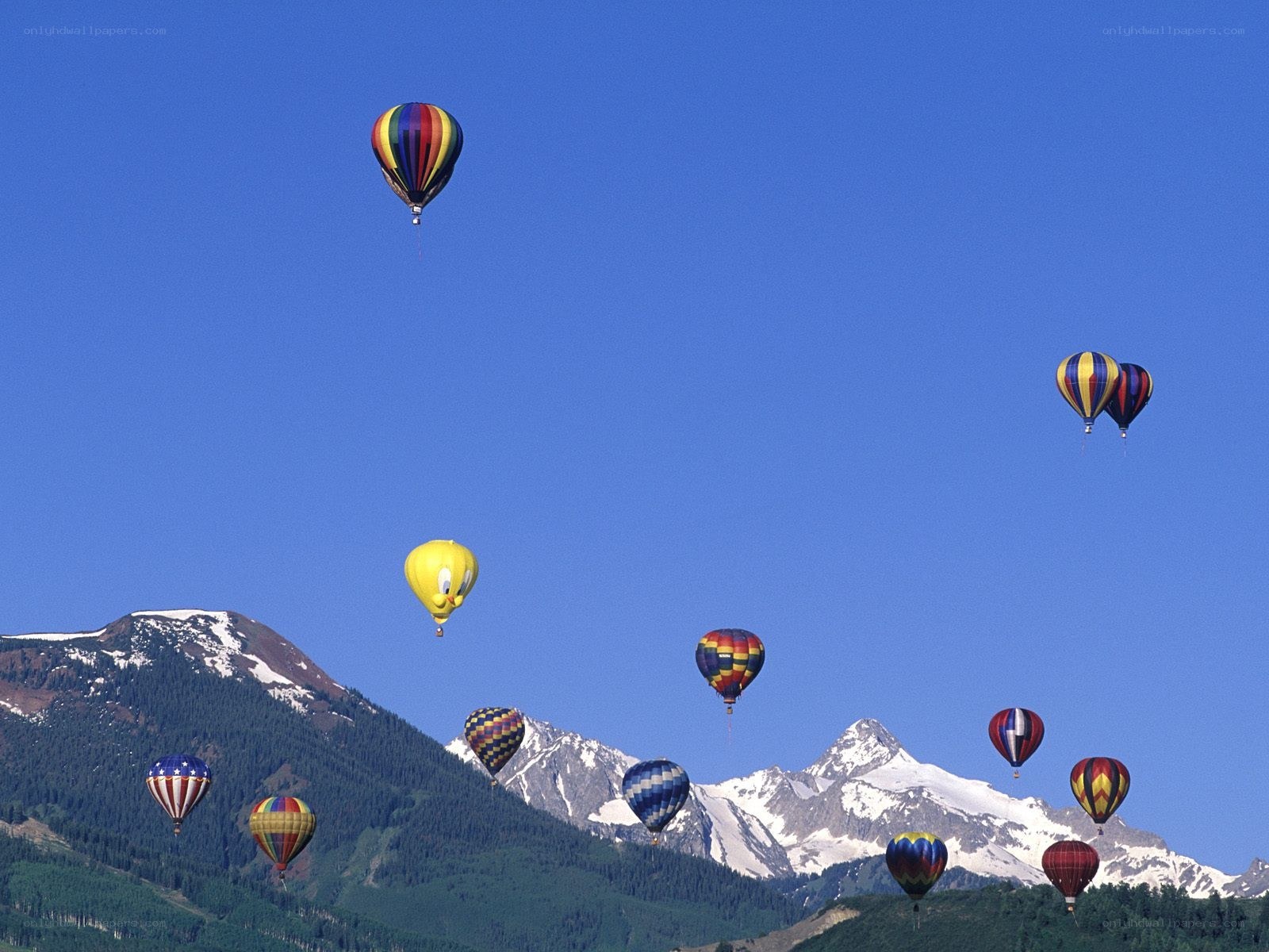 Hot air balloons over mountains