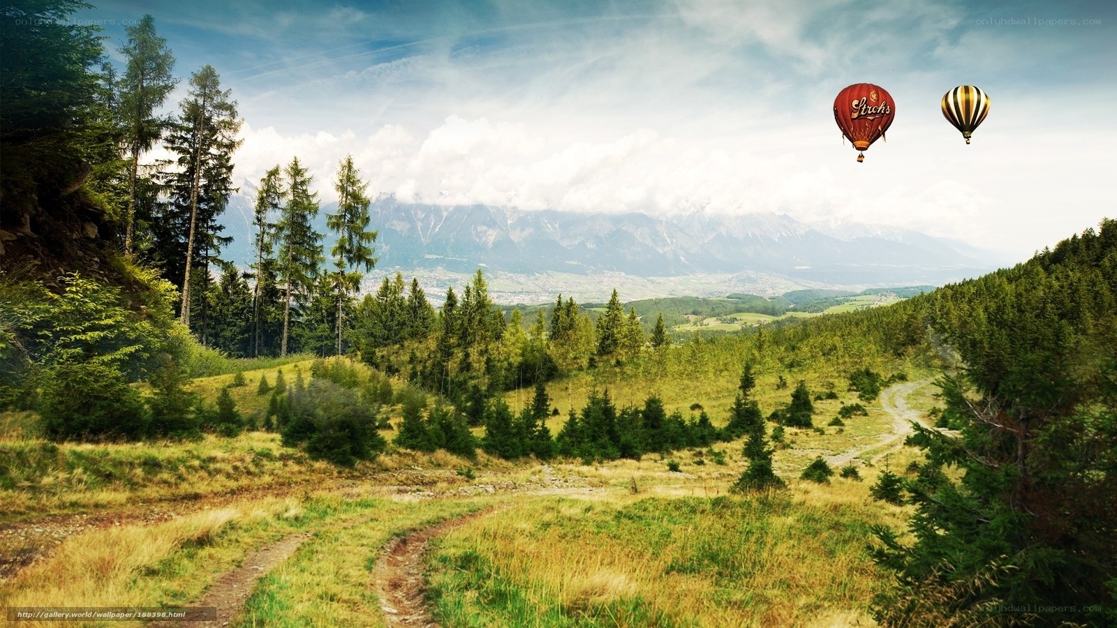 Hot air balloons over mountains