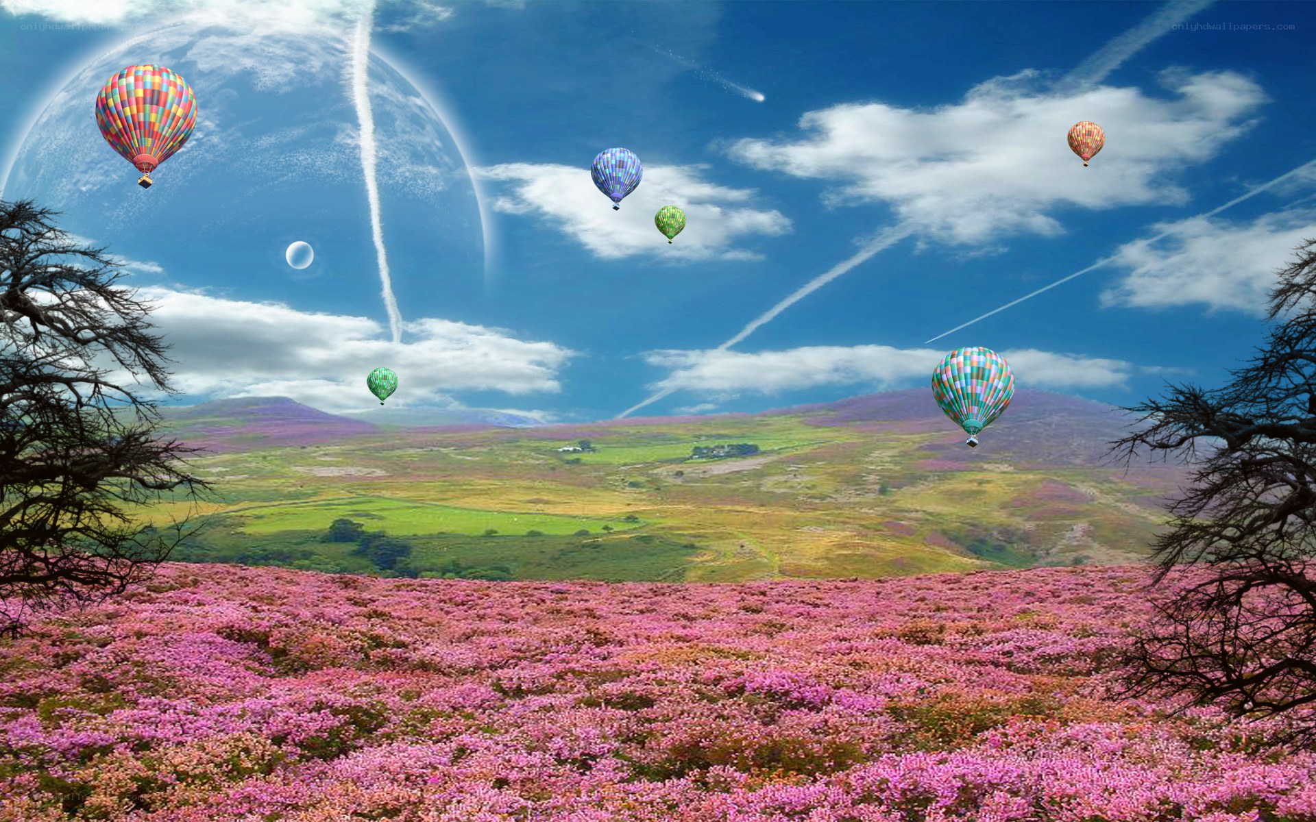 Hot air balloons over pink fields