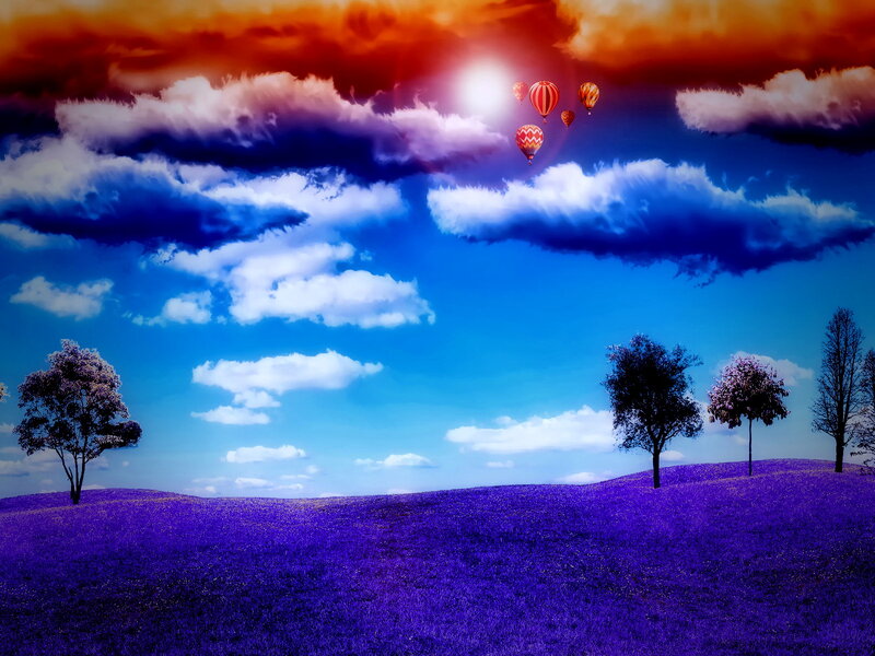 Hot Air Balloons over Purple Field — Blue