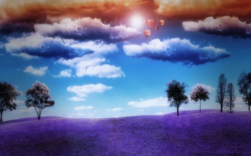 Hot Air Balloons over Purple Field — Serene