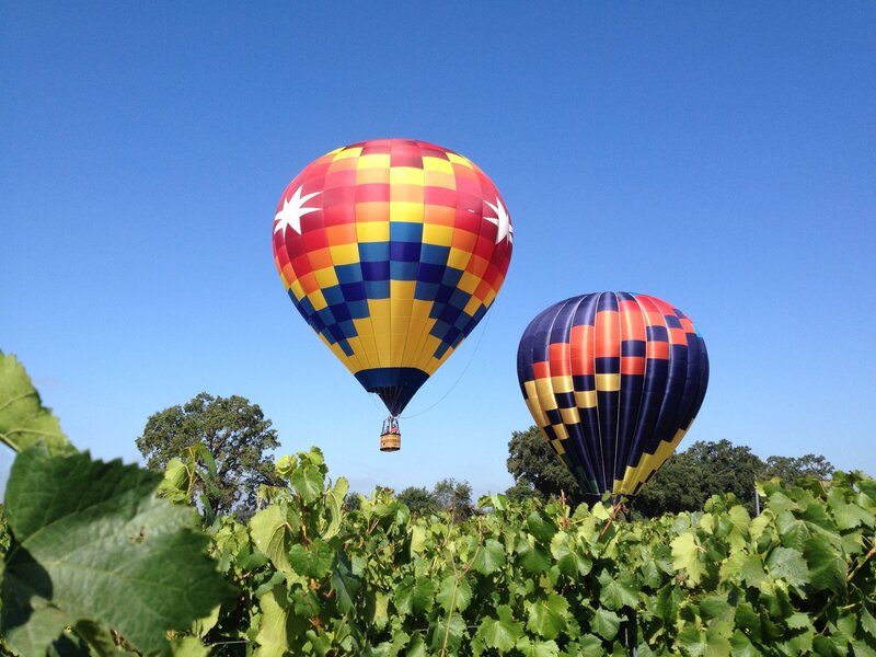 Hot Air Balloons over Vines