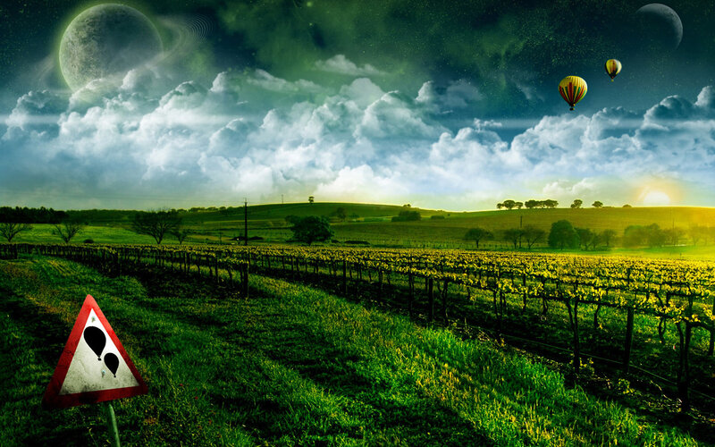 Hot air balloons over vineyard