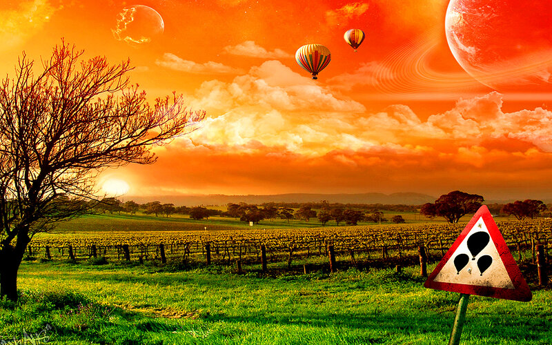 Hot air balloons over vineyard