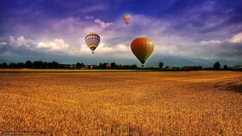 Hot air balloons over wheat field