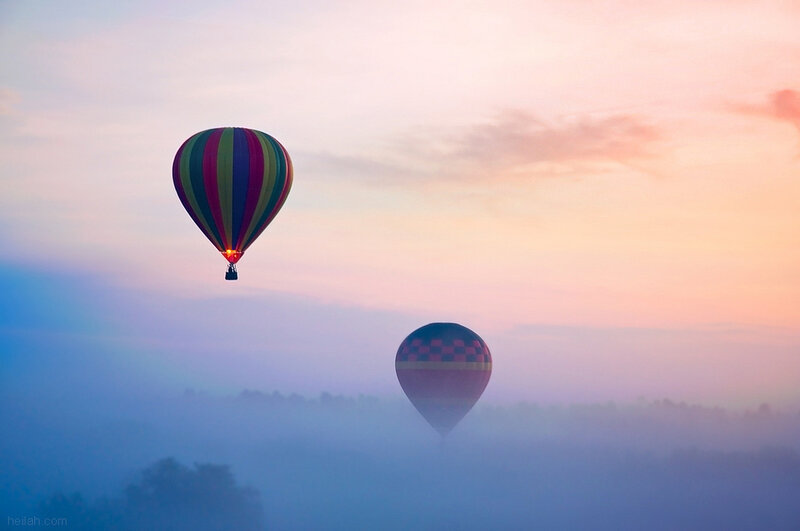 Hot Air Balloons — Pink
