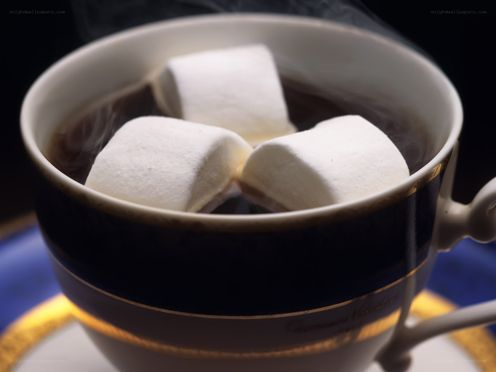 Hot chocolate with marshmallows