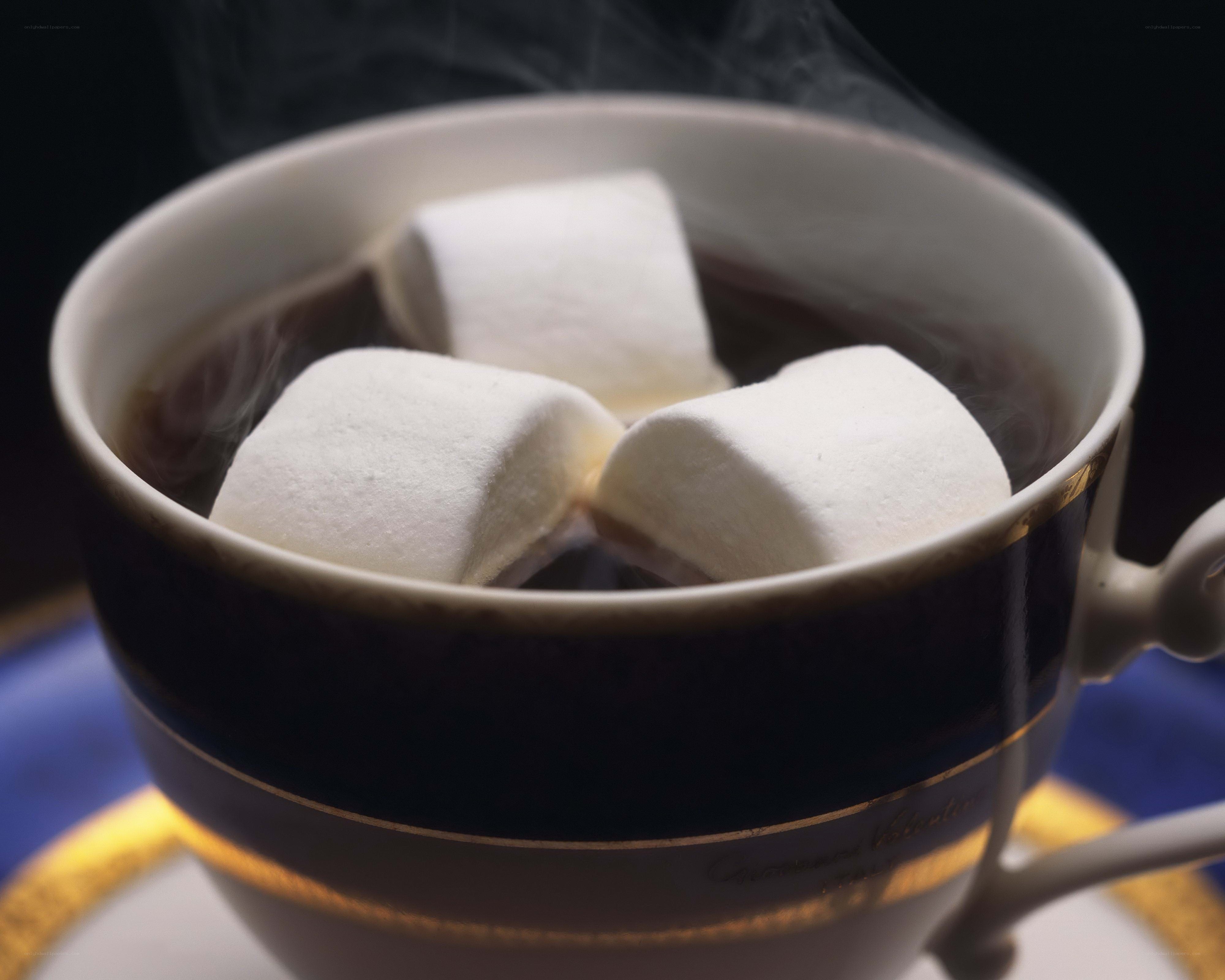 Hot chocolate with marshmallows