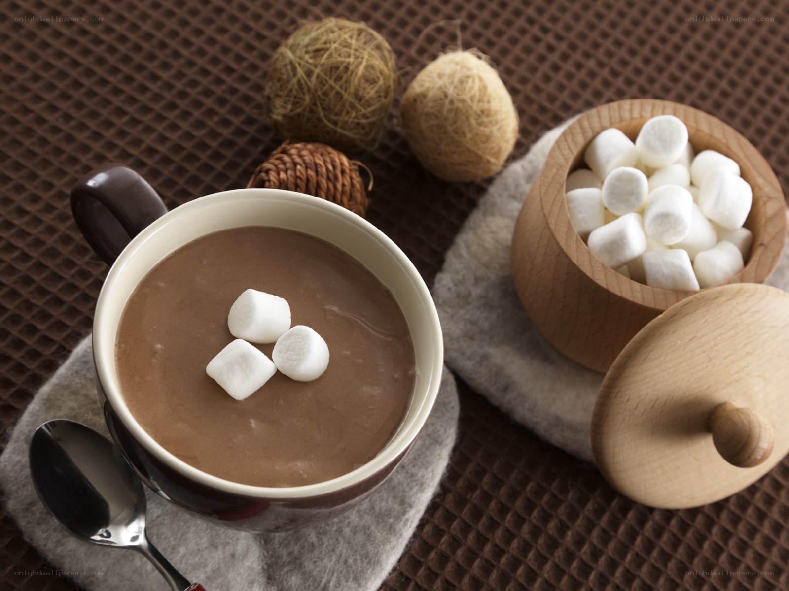Hot chocolate with marshmallows