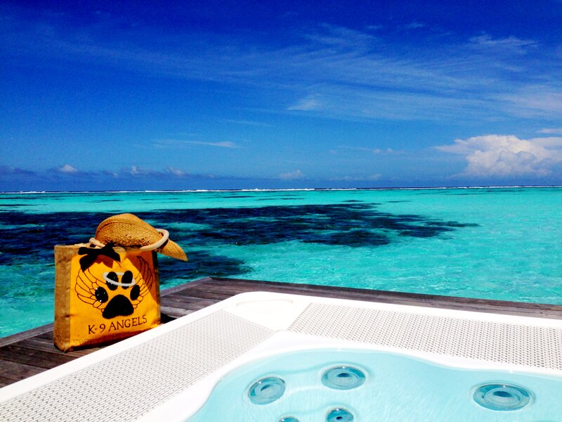 Hot Tub on Deck — Blue