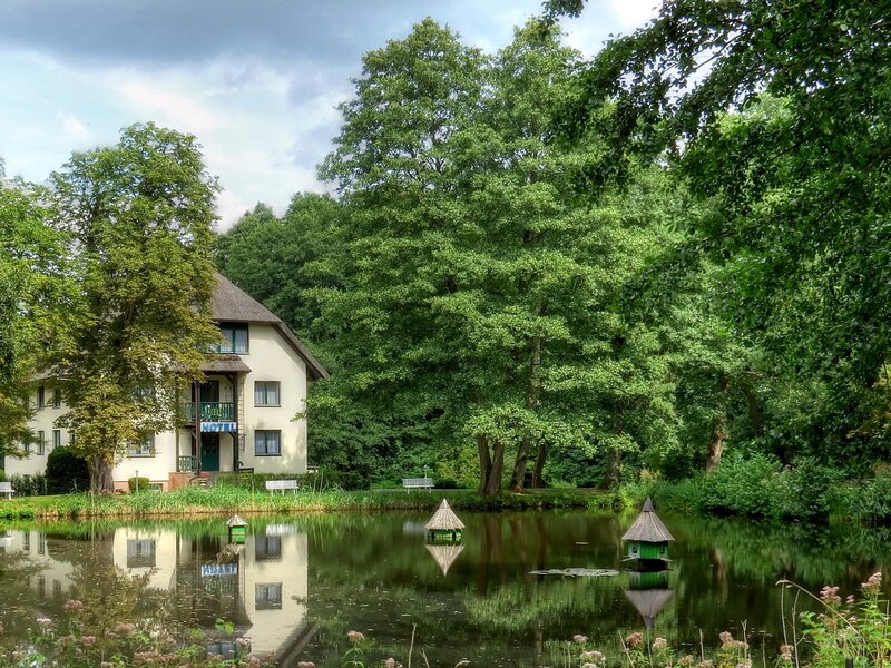 Hotel by a pond with birdhouses