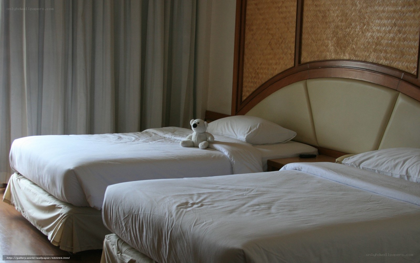 Hotel room with two beds