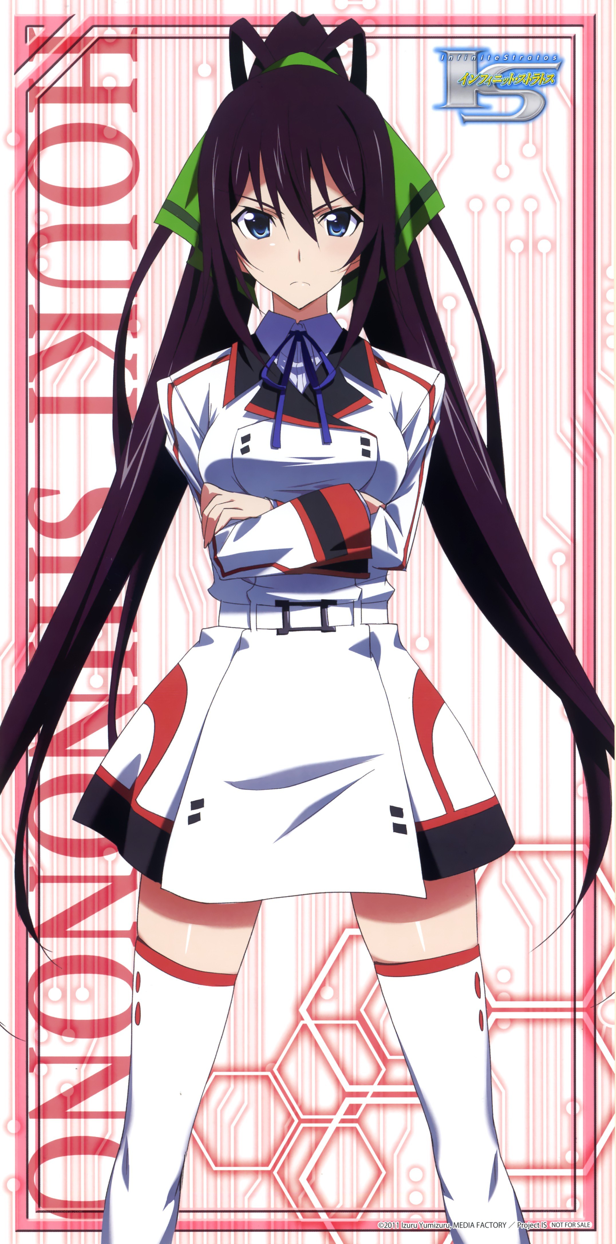 Houki Shinonono character art