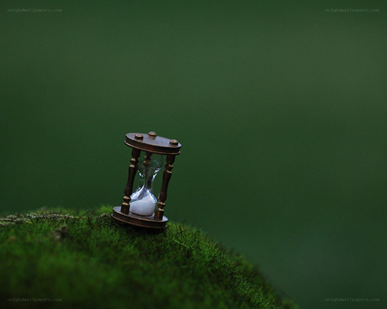 Hourglass on mossy surface