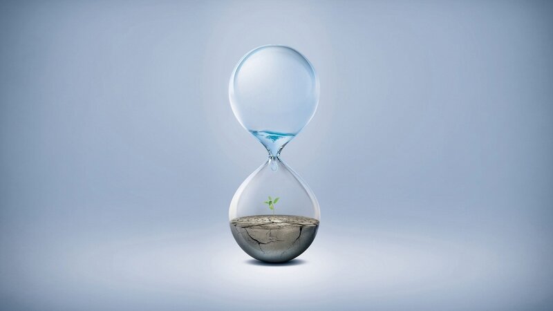 Hourglass with Plant