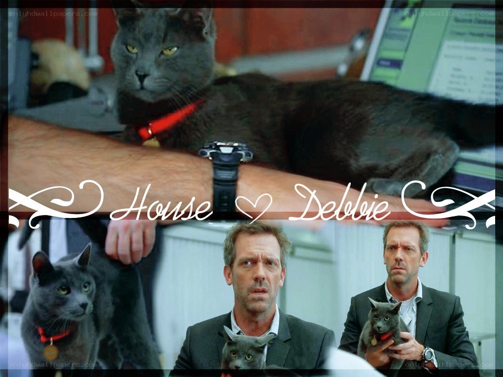 House and his cat Debbie