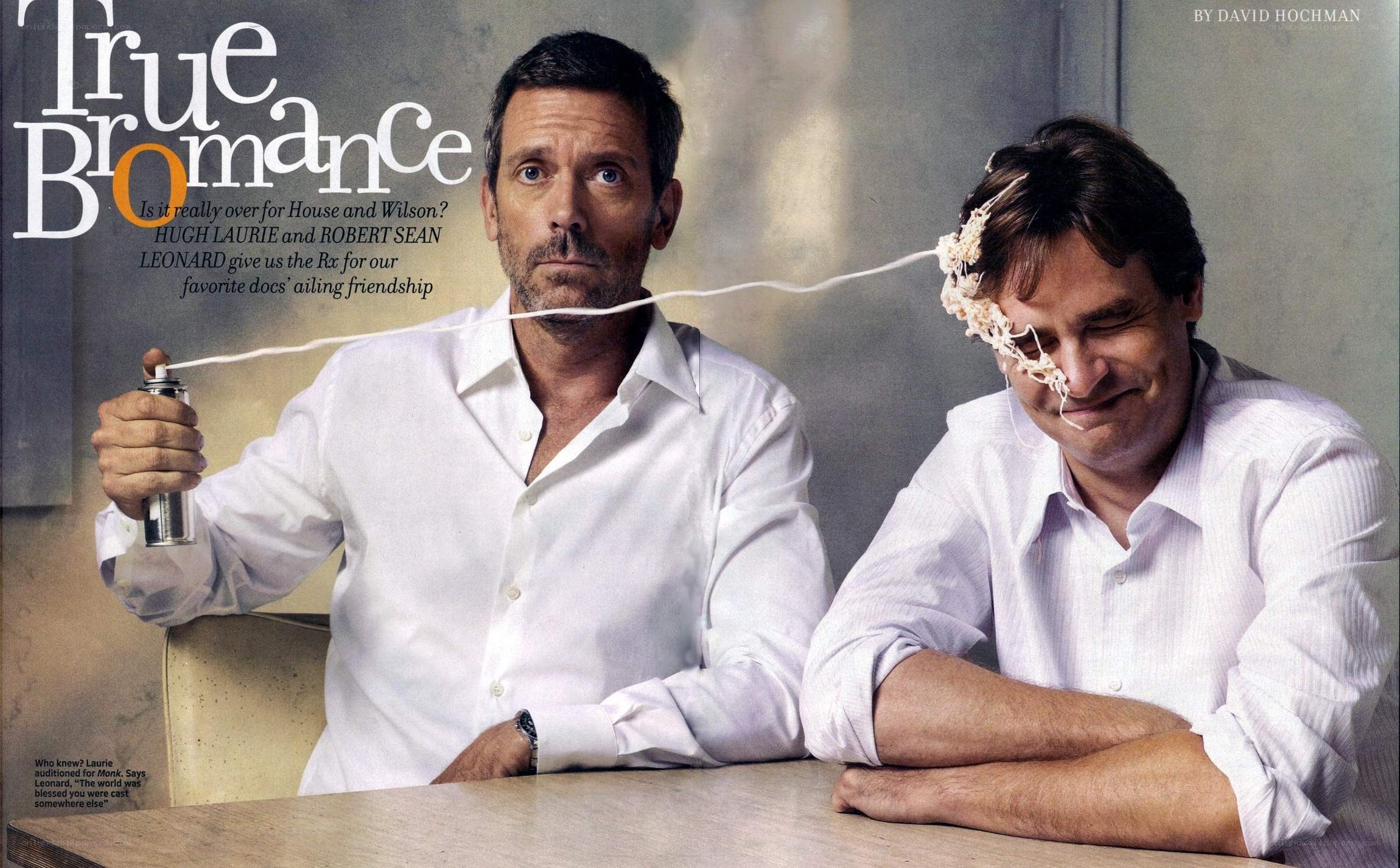 House and Wilson bromance