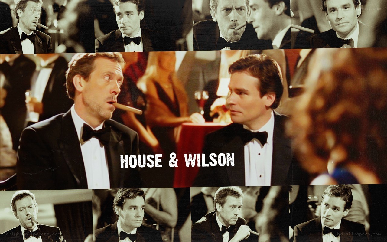House and Wilson collage