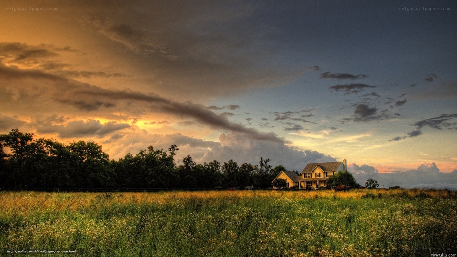 House at sunset in a field