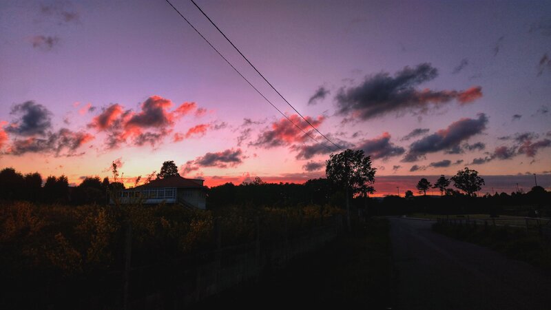 House at Sunset — Purple, Serene