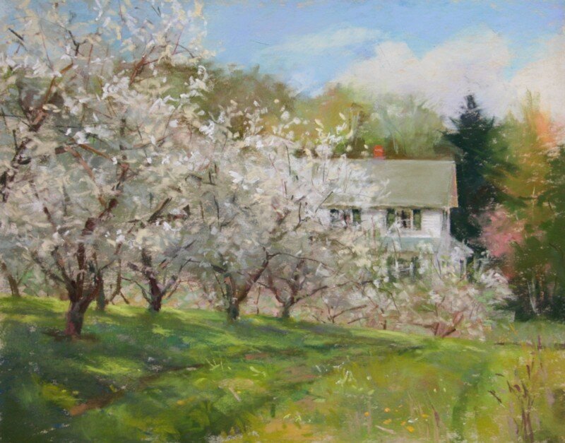 House Behind Blossoming Trees