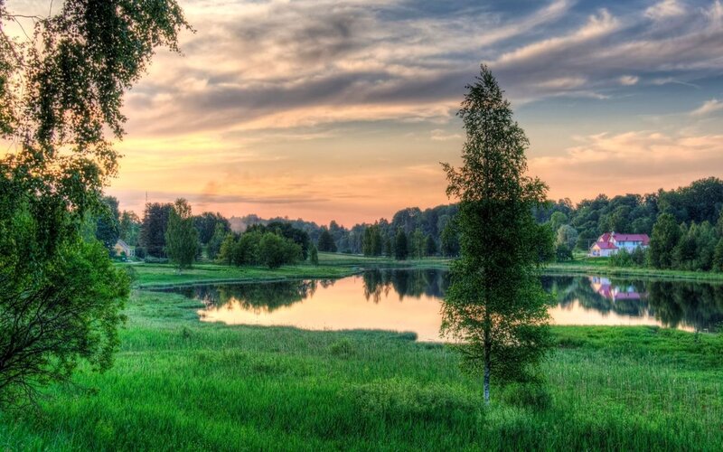 House by a Pond — Green