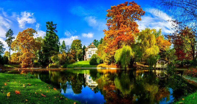 House by Autumn Pond