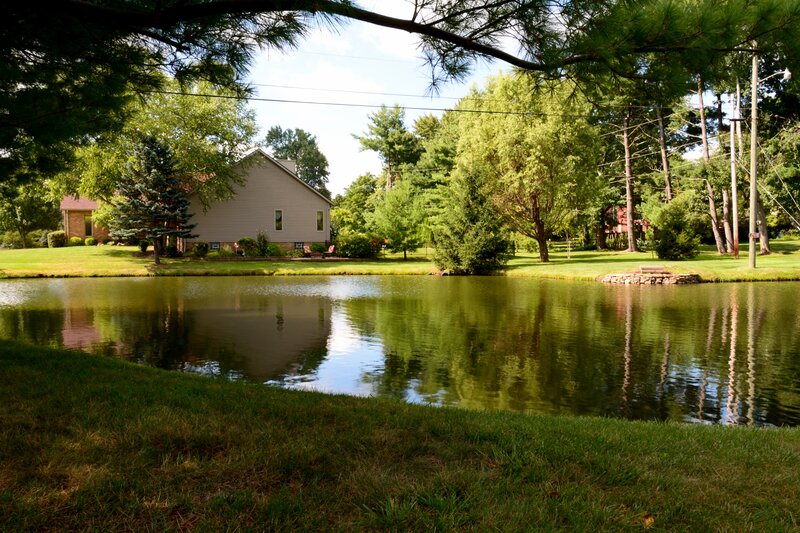 House by Pond — Green