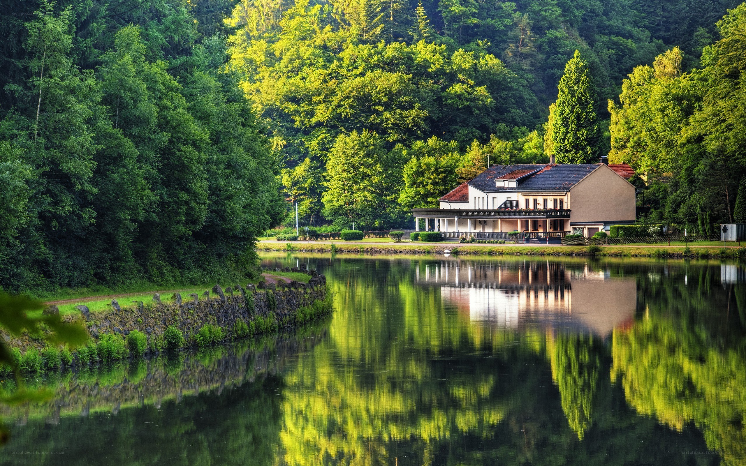 House by the lake in forest