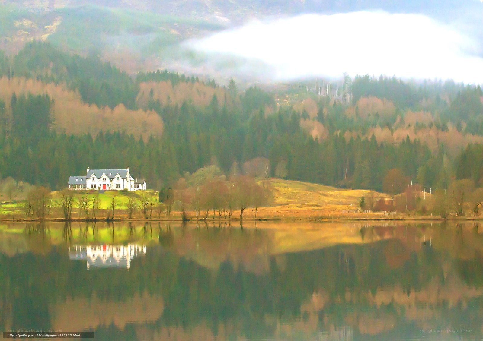 House by the lake in forest