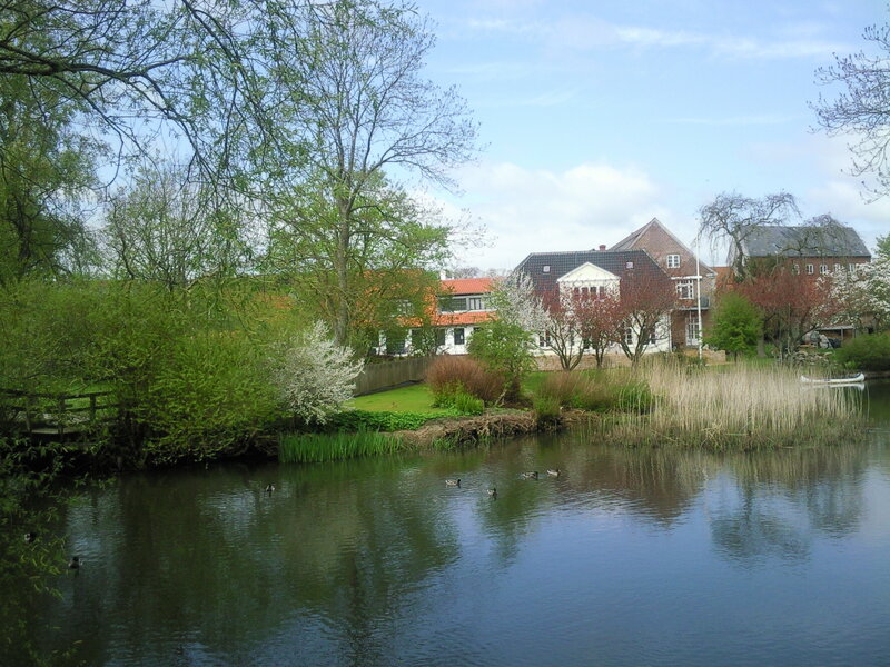 House by the pond with ducks