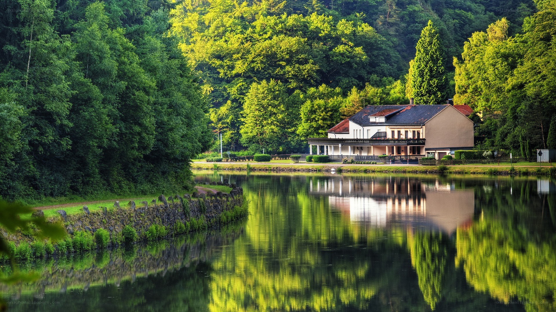 House by the river in forest