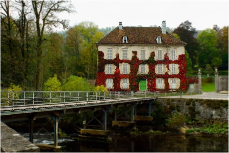 House Covered in Ivy — Red