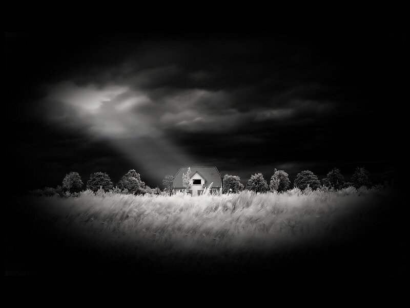 House in a Field — Black