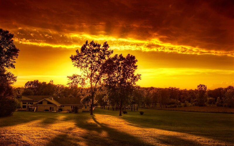 House in a Field