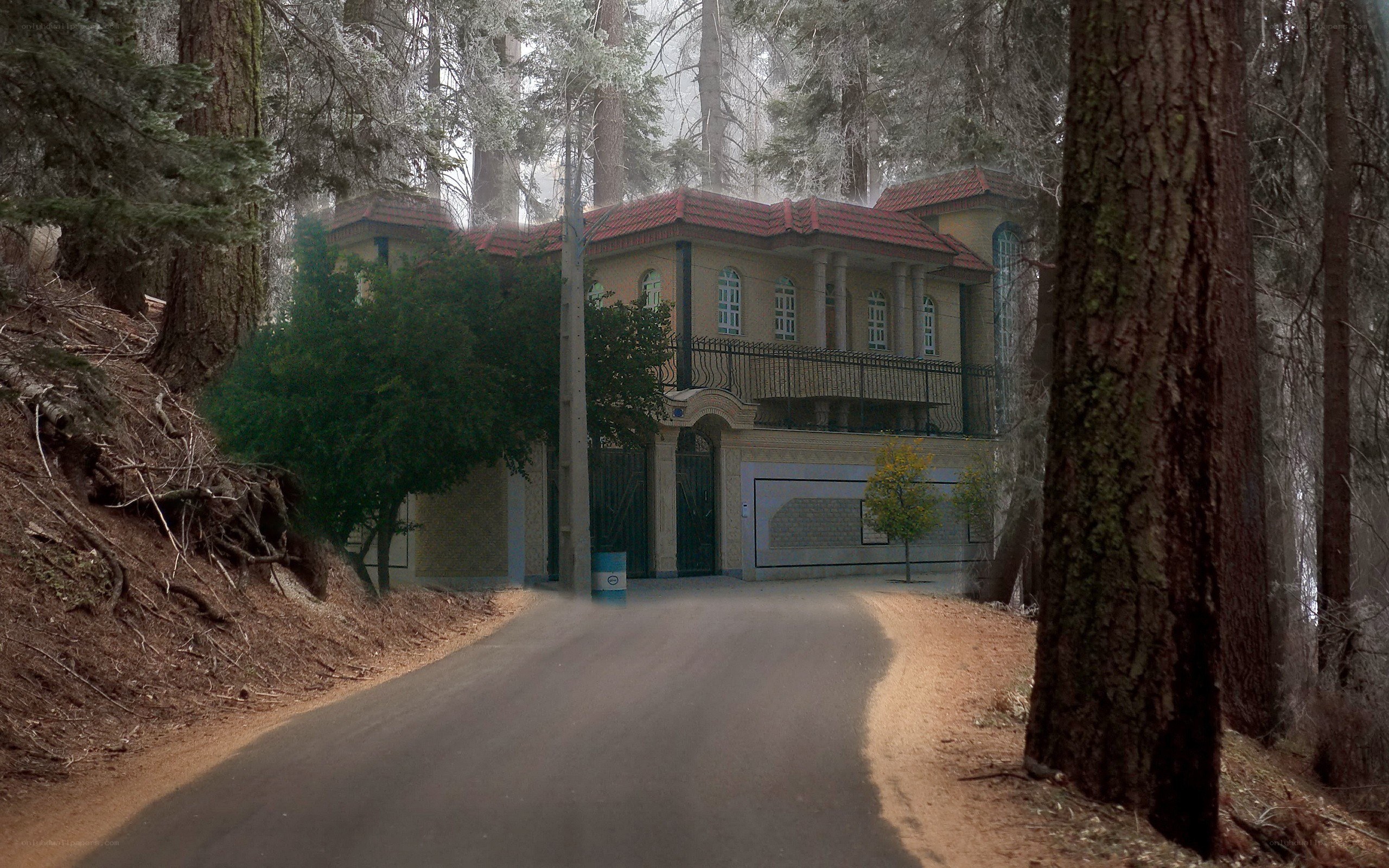 House in a forested area